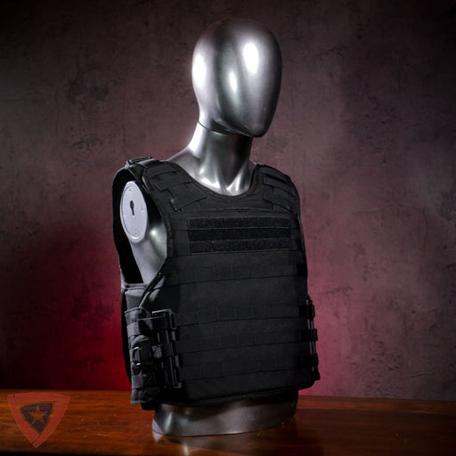 Citizen SHTF Tactical Body Armor and Carrier - Ballistic